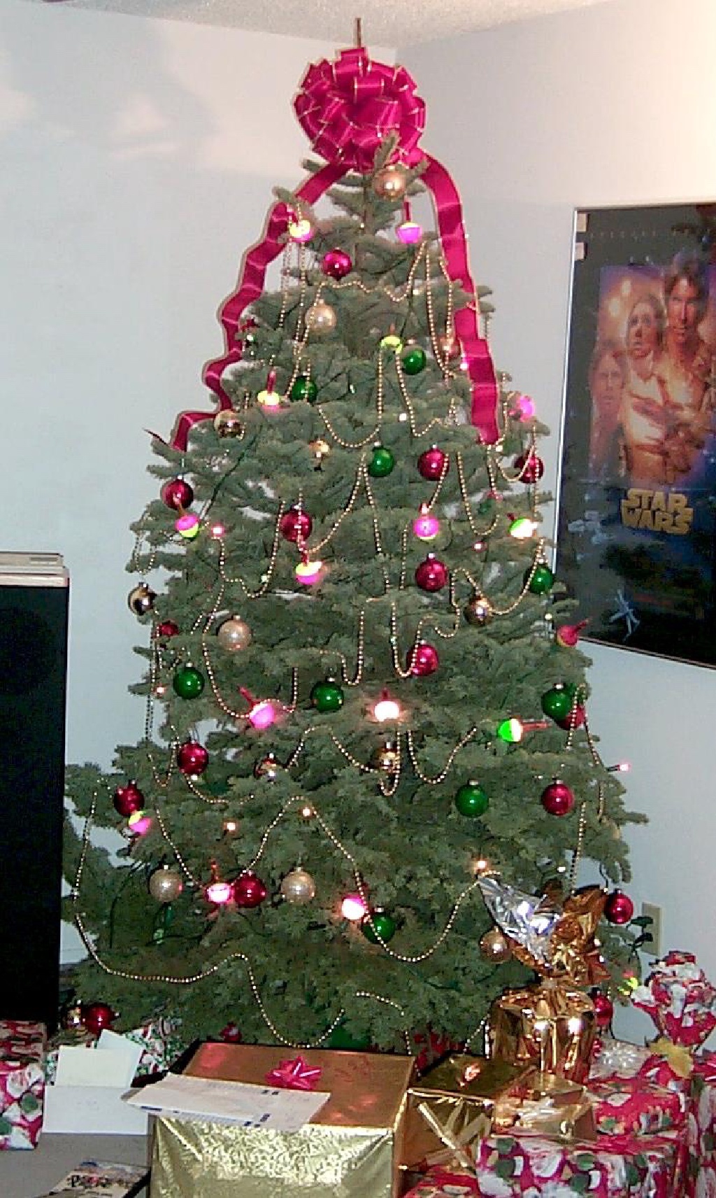 Hildebrand Christmas ScreenSaver/1024x768_1999-12-24-Josh'sTree.jpg